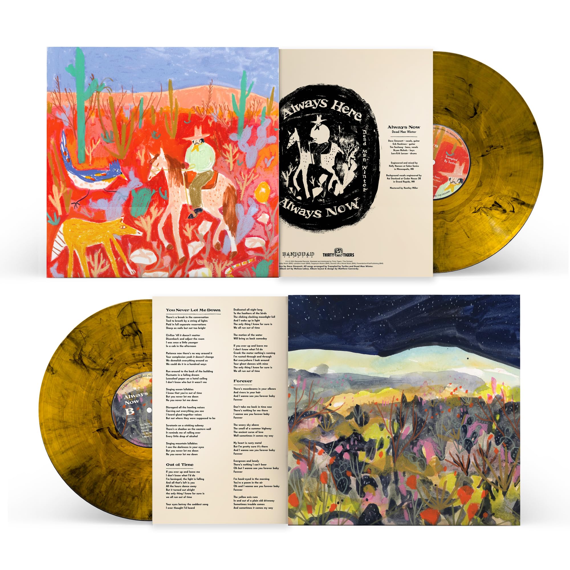 Always Here / Always Now [Vinyl LP] [VINYL]