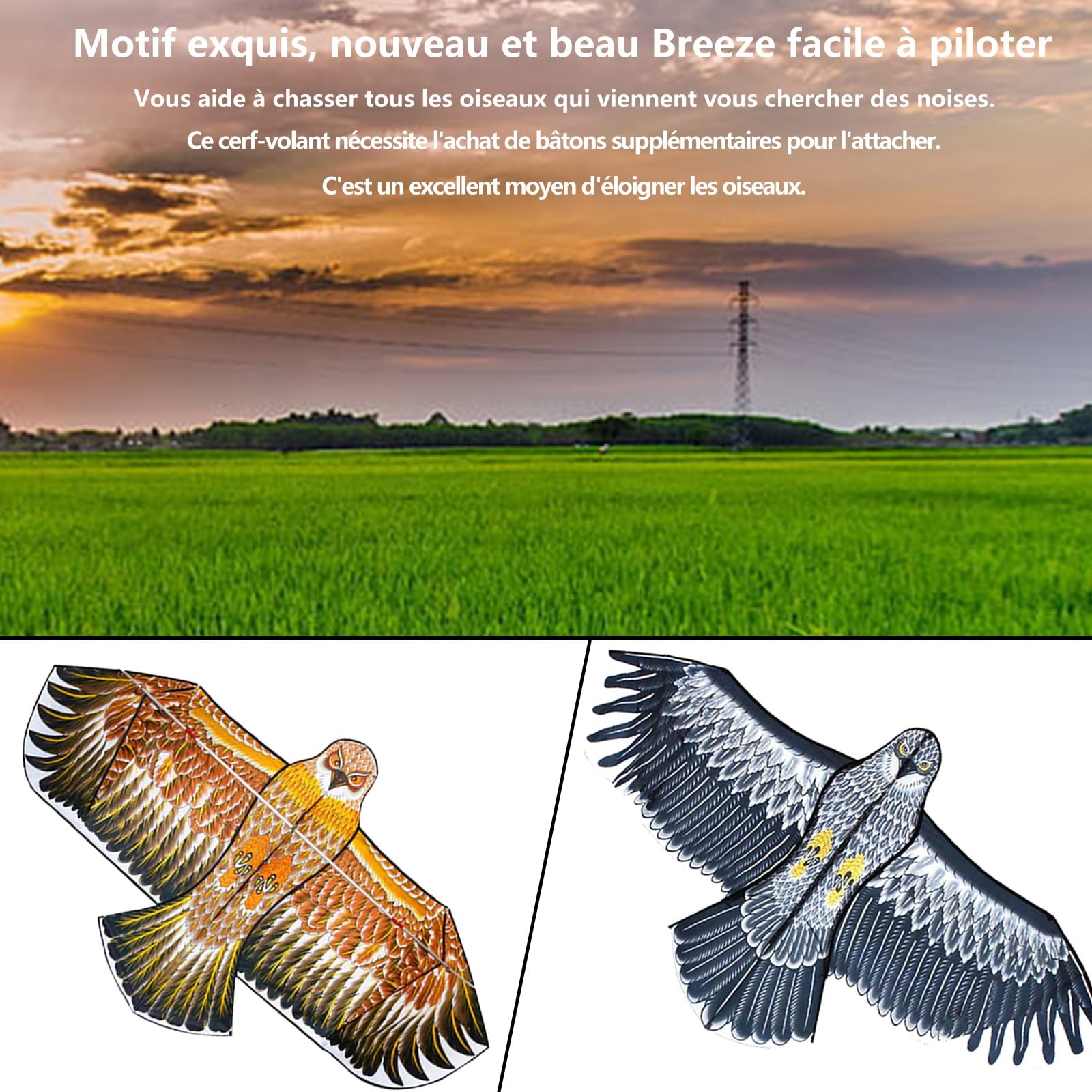 Effaroucheur D'oiseaux Cerf-volant De Faucon Volant Extensible DIOCHE