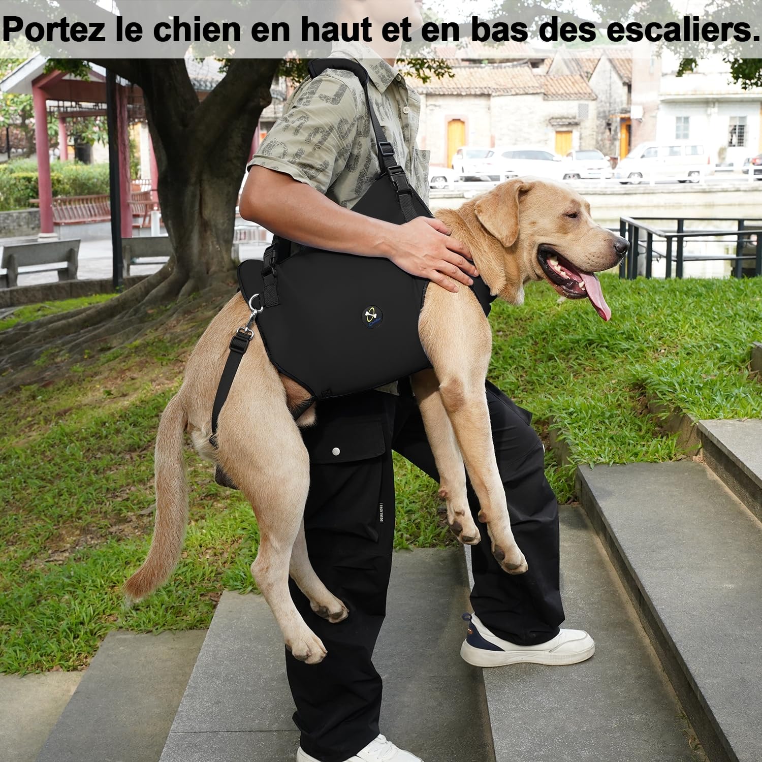Harnais de Levage Coodeo pour Chien, élingue de rééducation avec Sangles Ajustables rembourrées Respirantes – Chiens âgés, handicapés, arthrite, blessures articulaires (Noir, XL)