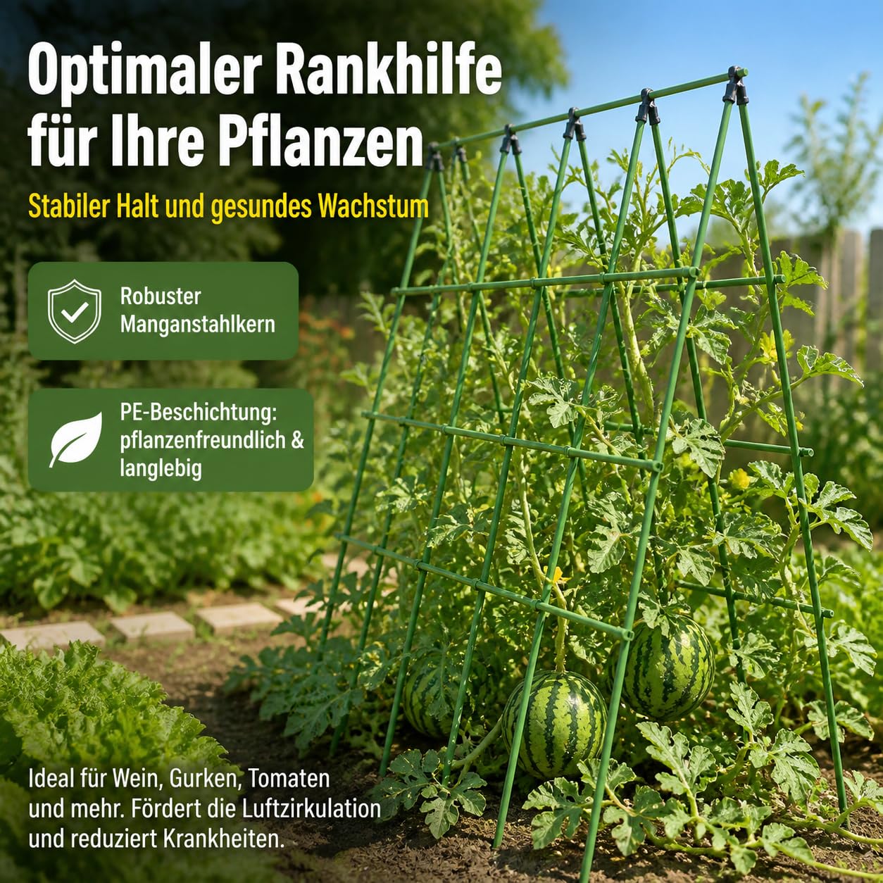 Rankhilfe 300cm, 10er Set Pflanzenstütze 25mm aus beschichtetem Metall, für Kletterpflanzen Gurken Bohnen, grüne Pflanzstäbe mit Bindern, 20mm Durchmesser, 90cm Länge