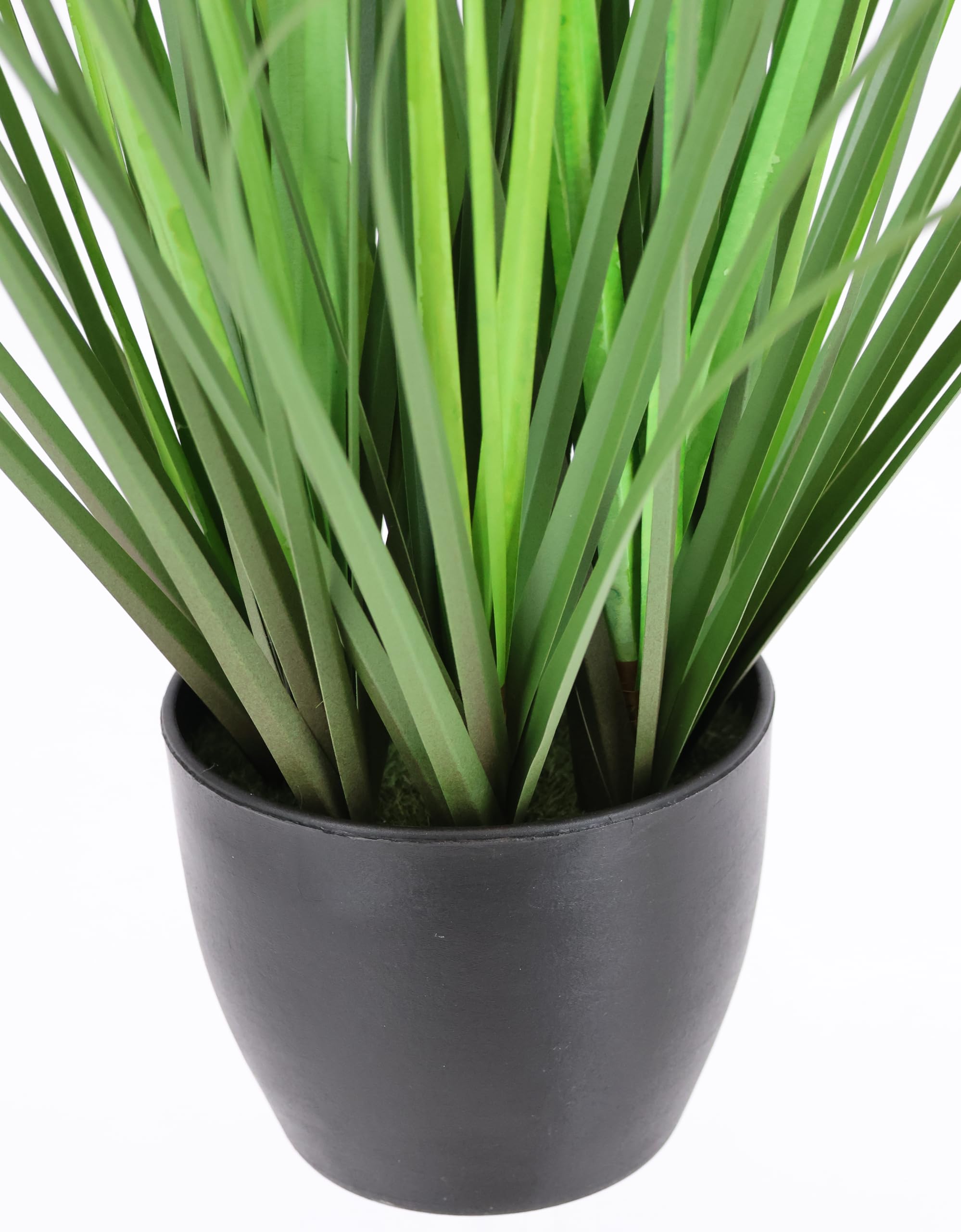 Künstliches Ziergras ‚Protea‘ Im Topf – Deko-Grasbusch Für Wohnung & Büro