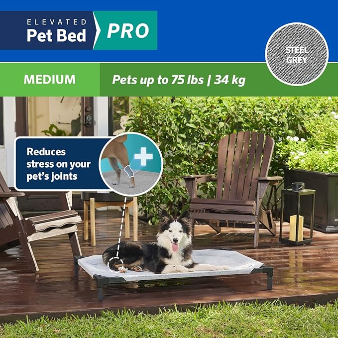 Cama Elevada para Perro Acceso Bajo Tela Fresca Mediano miniatura 4