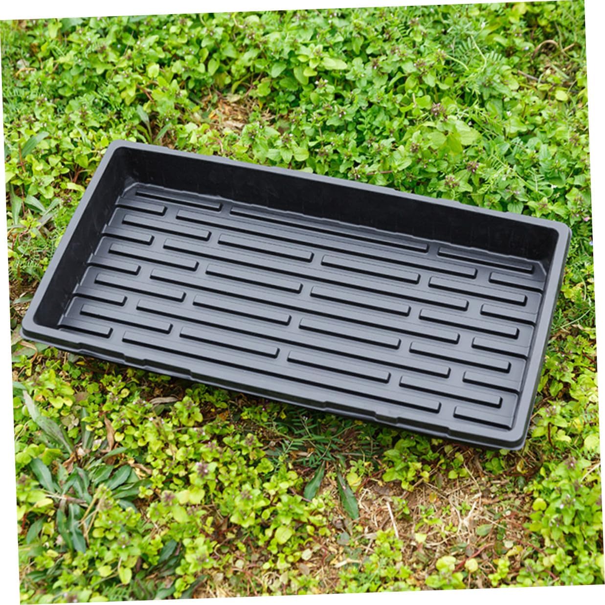 3pcs Thickened Black Plastic Plant Nursery Trays 1.8mm Germination Starter Trays for Indoor Vegetable Seedling Growing and Sprouting