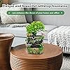 Product Photo 4