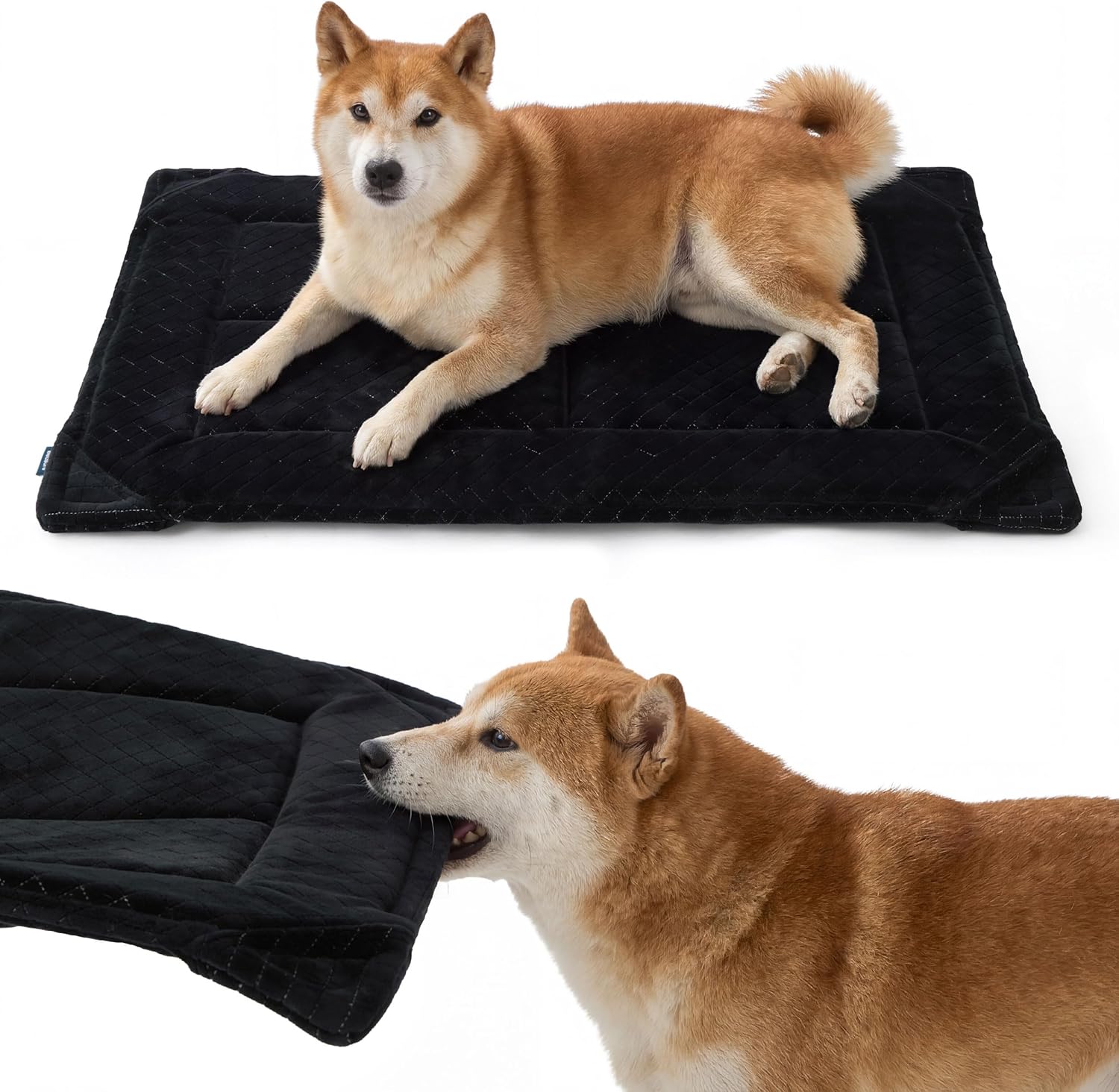 Amazon Deal