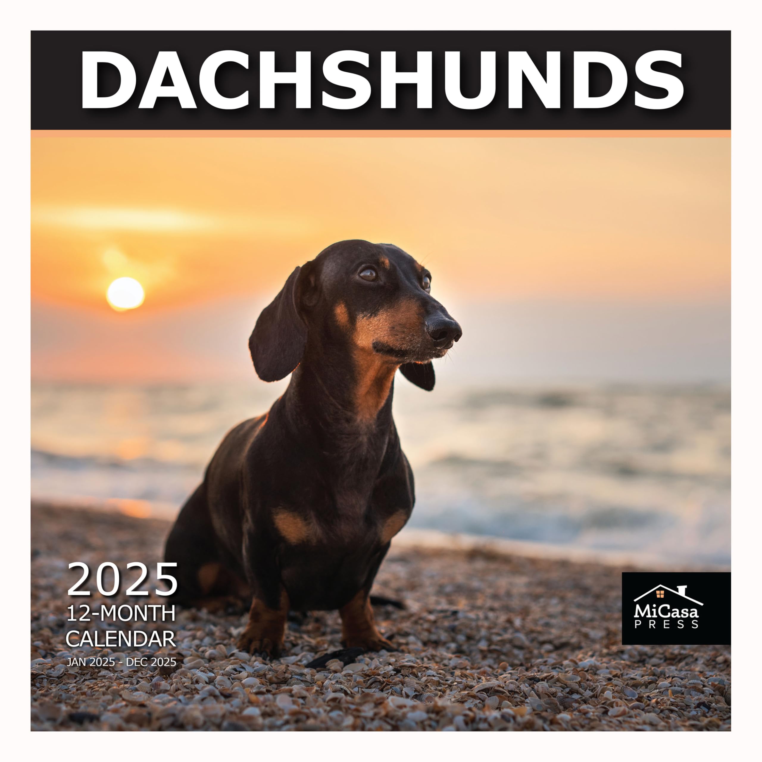 MICASA PRESS - Dachshunds 2025 Wall Calendar 12 Month | 12" x 24" Open | Thick &amp; Sturdy Paper | Giftable | Calendar 2025