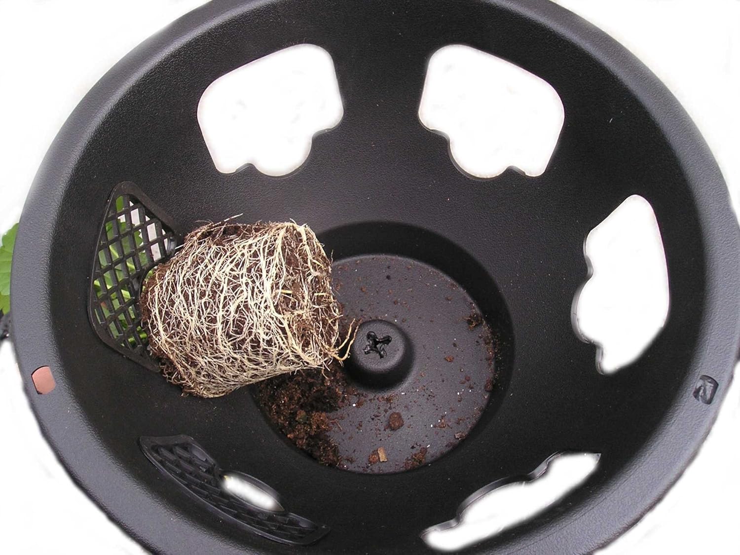 Easy fill hanging baskets 4 X 12" Black with free feed Amazon.co.uk