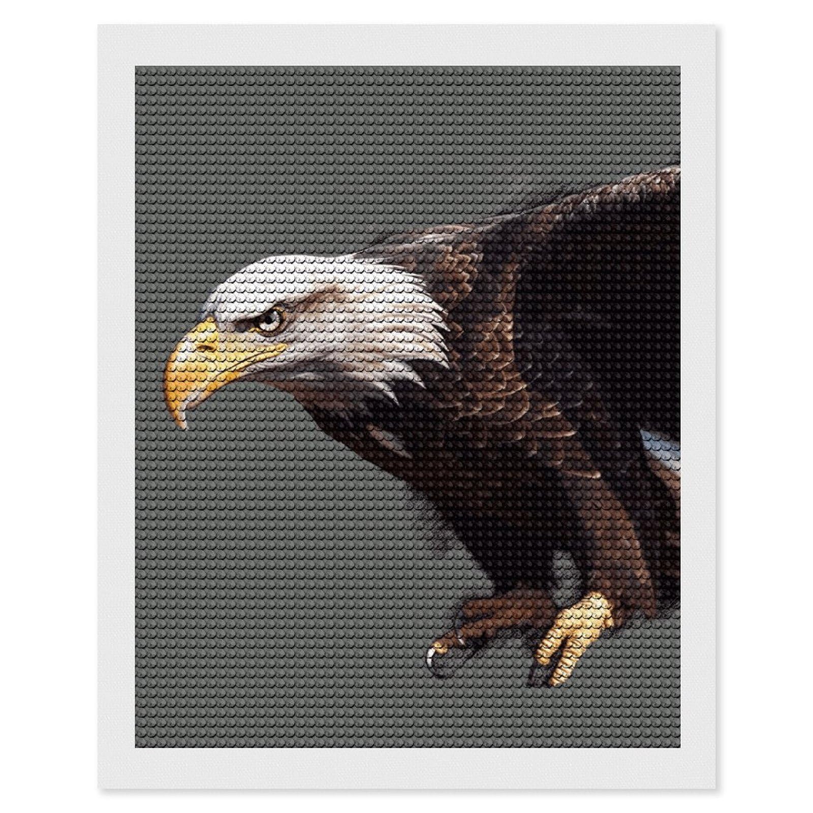 NONHAI Diamond Painting Kits for Adults - DIY Diamond Art Kits for Beginners - Full 5D Paint Drill Diamond Dots Paintings- Eagle Diamonds Pictures Gem Art and Craft Wall Decor 16"x20"