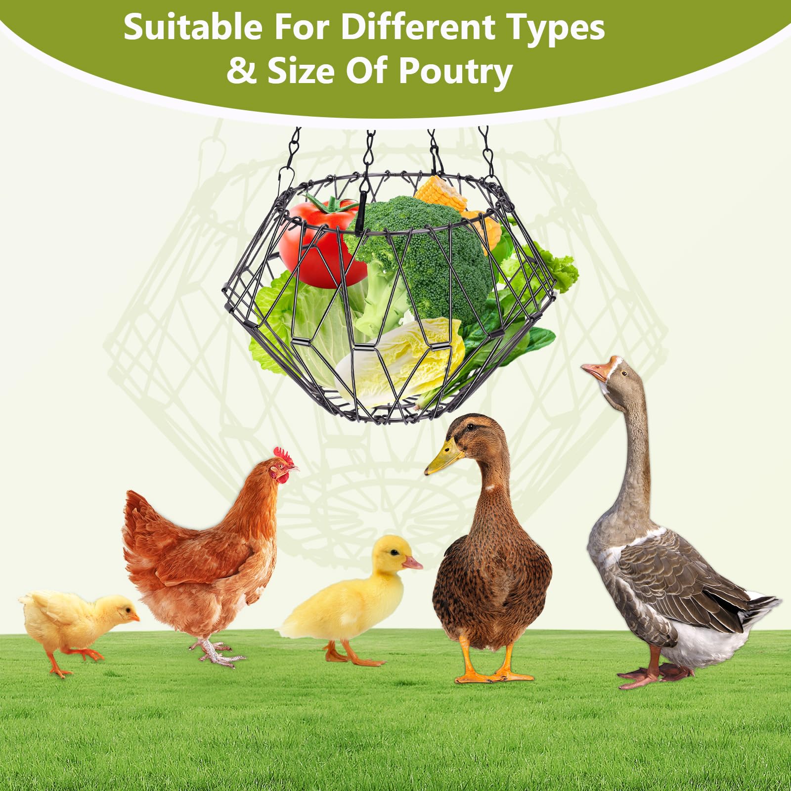 DEECOZY Hühner Futterautomat Faltbar - Hängender Gemüse- & Obsthalter Mit 4 Ketten