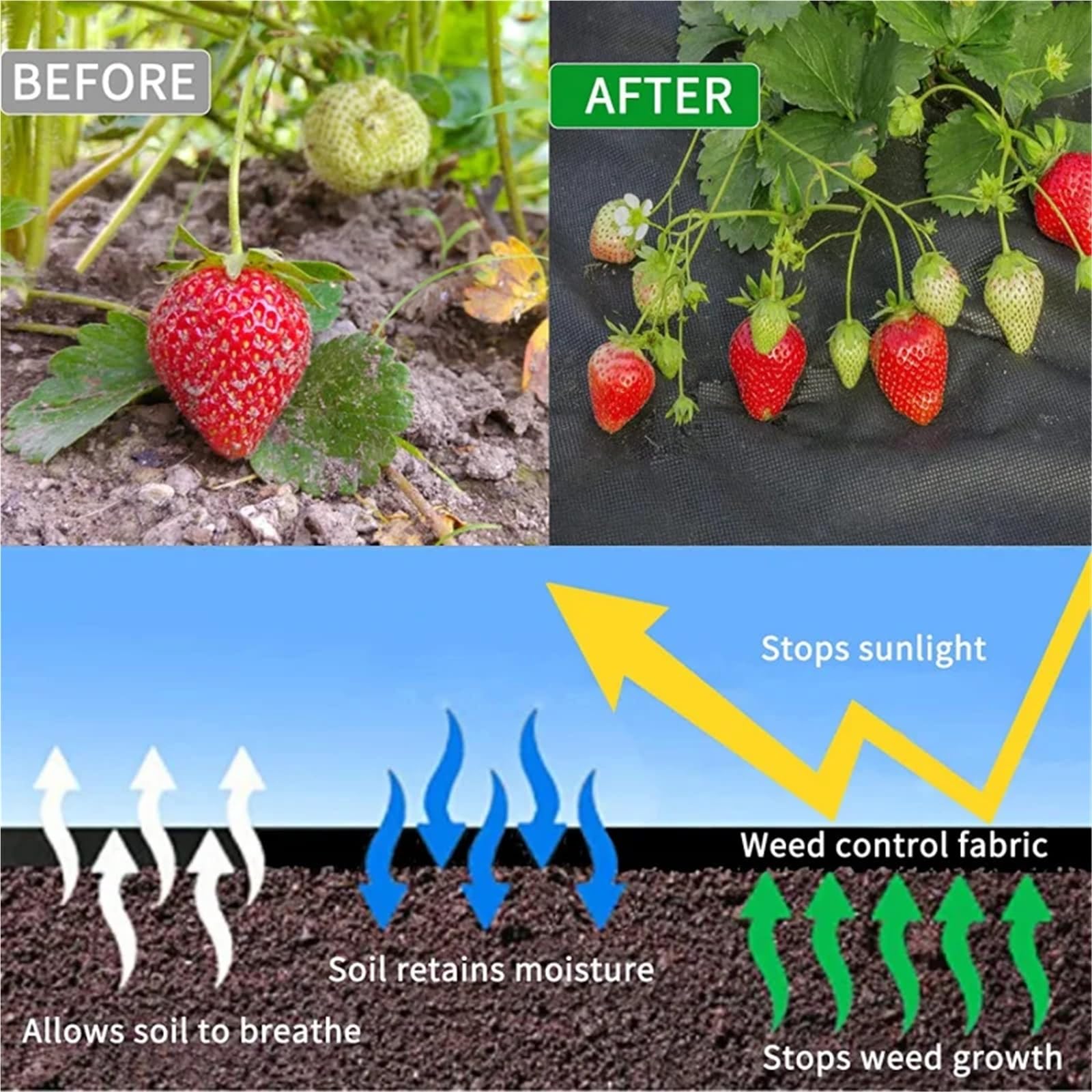 Telo Pacciamatura Tessuto barriera Anti-Erbacce da Giardino in Tessuto Non Nero Resistente for Prato e permeabilità all'Acqua di Controllo | 80CMX1000CM
