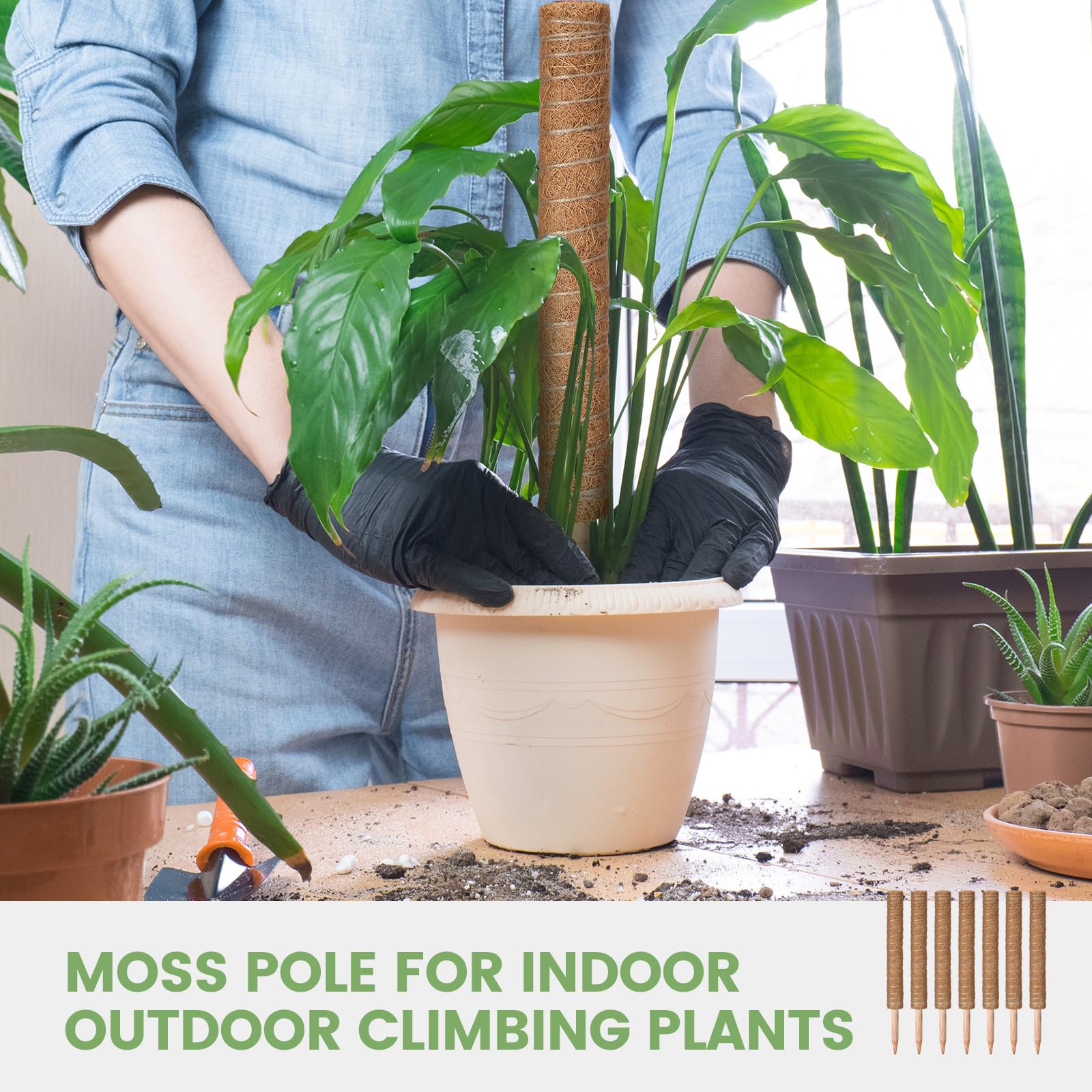 Yinder Monstera-Pflanzenstütze mit 10 x 2 m Juteseil und 2 x 2 m Gartenband, Pflanzstäbe für Zimmerpflanzen, Kletterpflanzen, Totemstange, 41,5 cm, 50 Stück