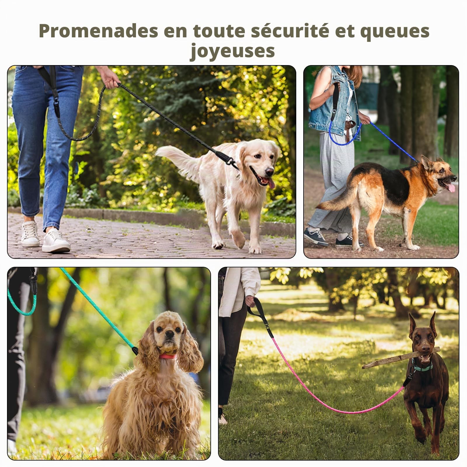 PetBonus Laisse pour Chien, 1.5m Longe pour Chien Robuste avec Mousqueton | Poignée rembourrée confortable, Réfléchissante, Nylon, Promenade, laisse d'entraînement, Adaptée Races Moyennes et Grandes