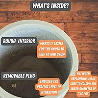 Vista 4 de Fox & Fern - Maceta (fibra de piedra) Padre