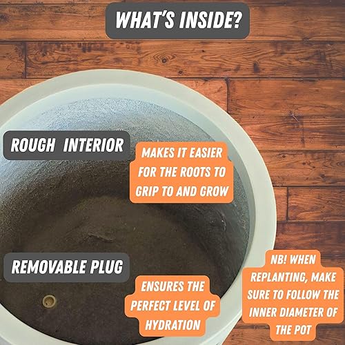 Miniatura 4 de Fox & Fern - Maceta (fibra de piedra) Padre