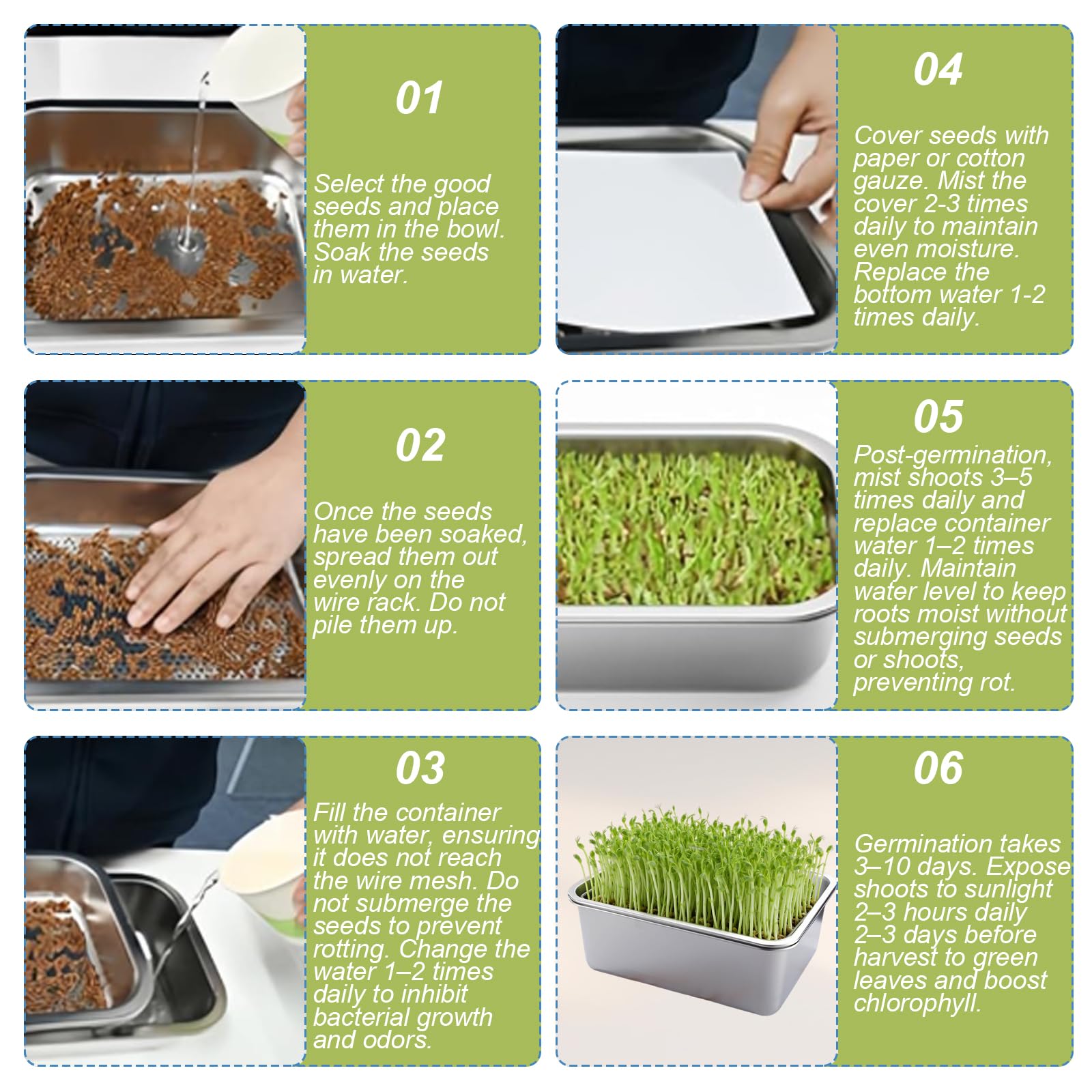 Kit de Germination 2 Pièces en Acier Inoxydable, Plaques de Germination 32x22cm avec Tamis Fin – Bacs de Culture pour Microgreens, Germoir Sans Terre pour Cresson, Luzerne, Haricots – Lave-vaisselle
