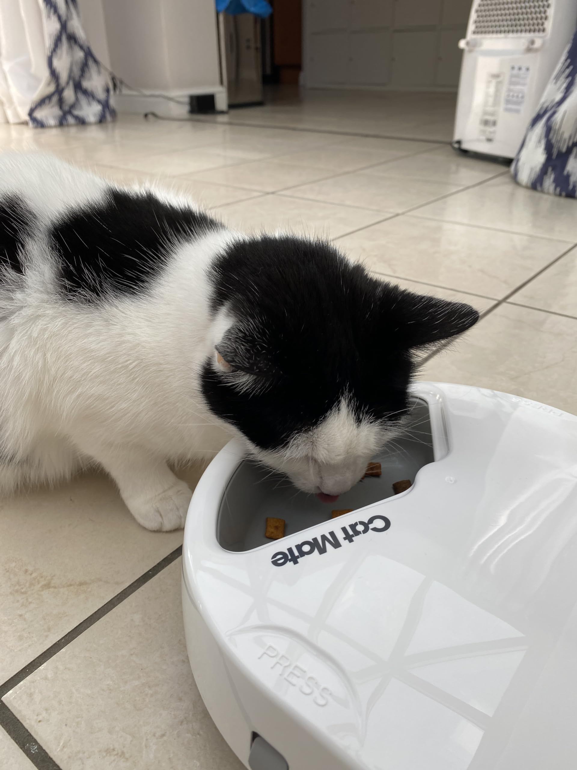 Cat Mate C300 Automatischer 3-Mahlzeiten-Futterautomat mit Digitalem Timer (366) – Für Katzen oder Kleine Hunde, Für Nass- und Trockenfutter, Mahlzeiten Bis zu 330 g Pro Stück, Weiß (Packung mit 2)