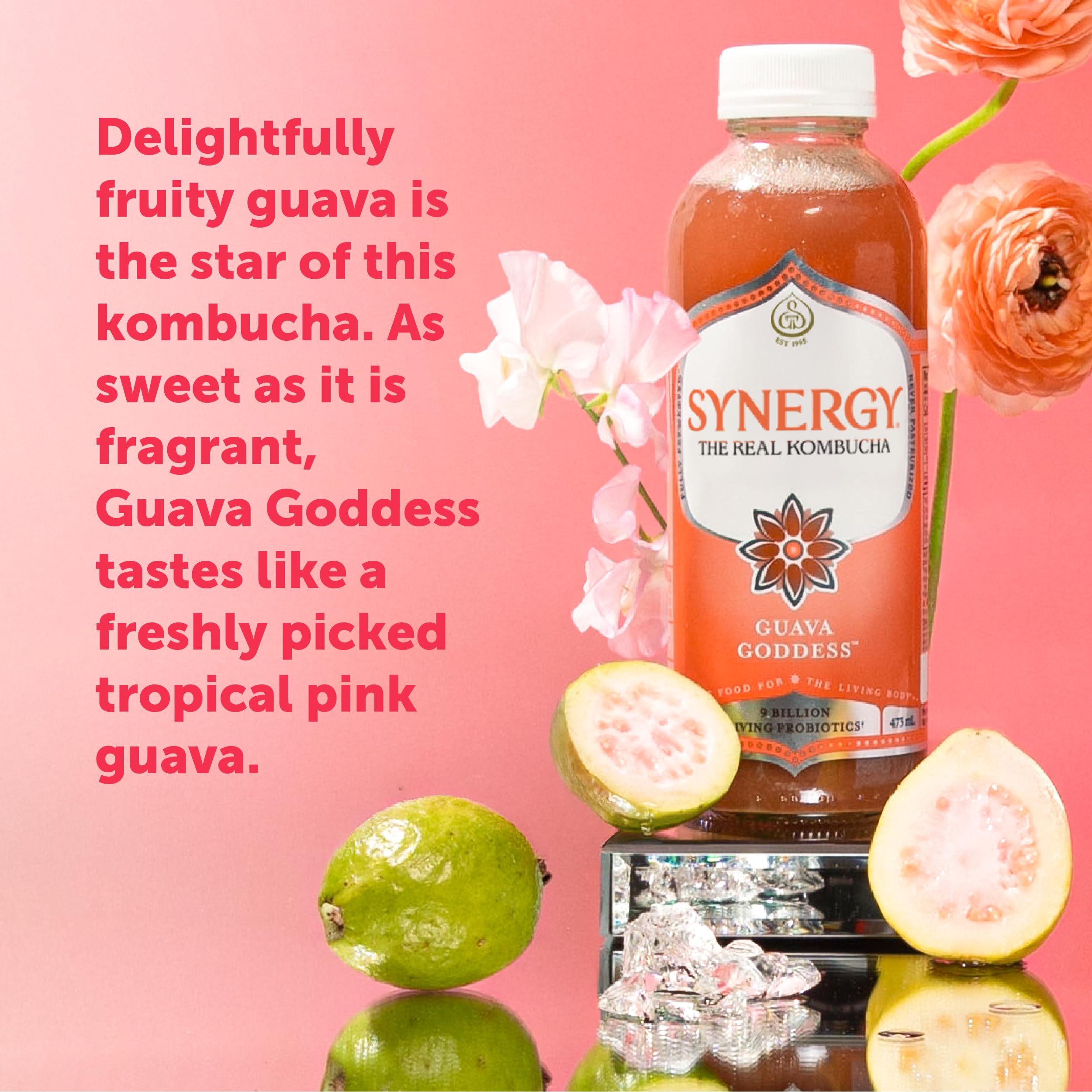 SYNERGY The Real Kombucha - Guava Goddess - 16 fl oz Bottle - Raw Probiotic Drink for Gut Health and Immune Support