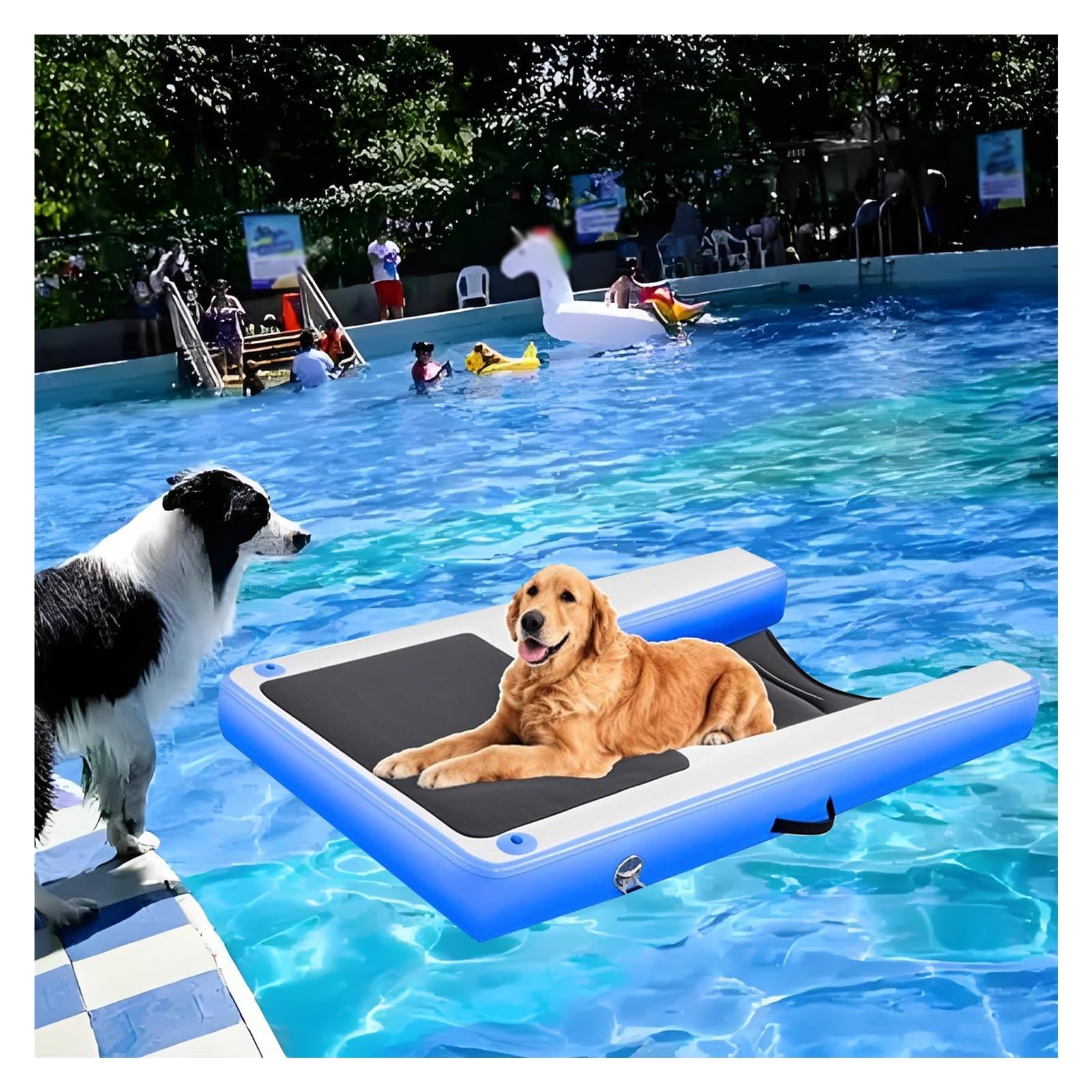 Collapsible Dog Pool Ramp, Anti-Slip Water Platform with Accessories for Safe Swimming