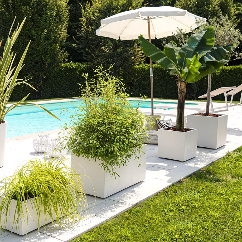 Amazon.com : Deroma Millennium Planter | 23” x 10” x 10