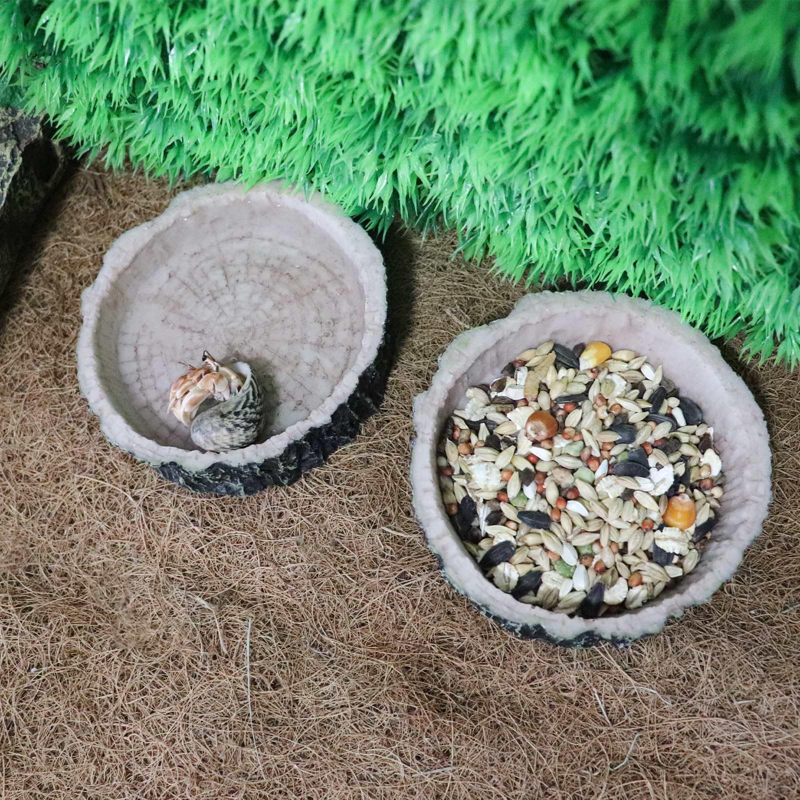 Reptilien-Wasserschale Aus Harz (Eckdesign) Für Bartagamen, Geckos & Schildkröten - Rutschfeste Rampe