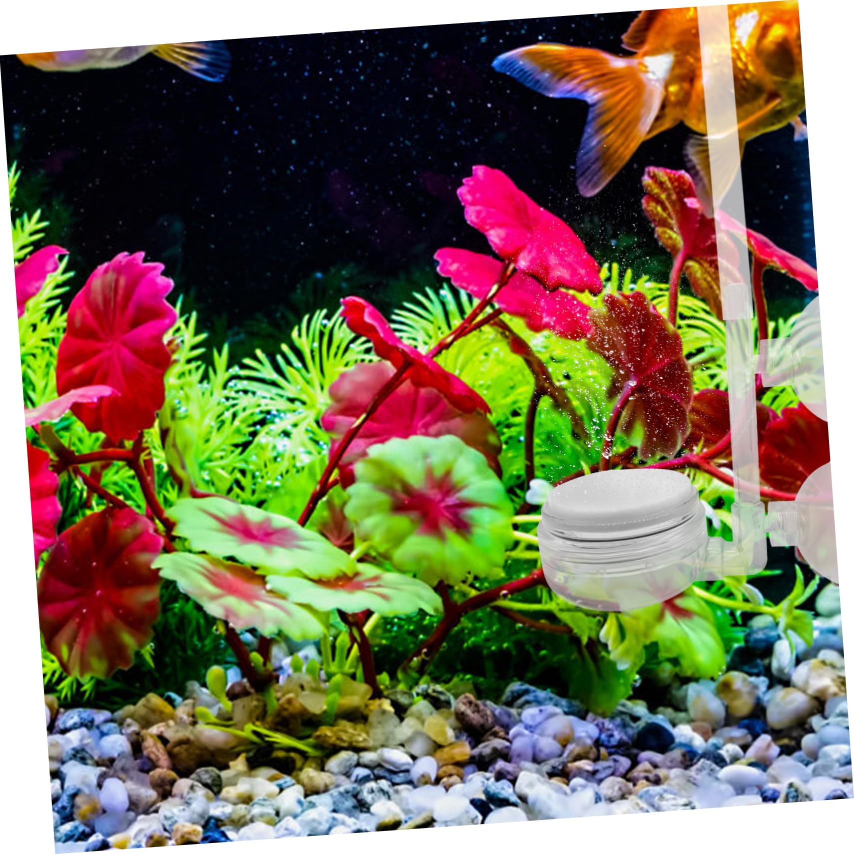 BESPORTBLE 25 Piezas De Oxigeno Piezas del Difusor De Difusor De Acuario Almohadilla Difusora para Pecera De Piezas del Burbujeador del Acuario PD
