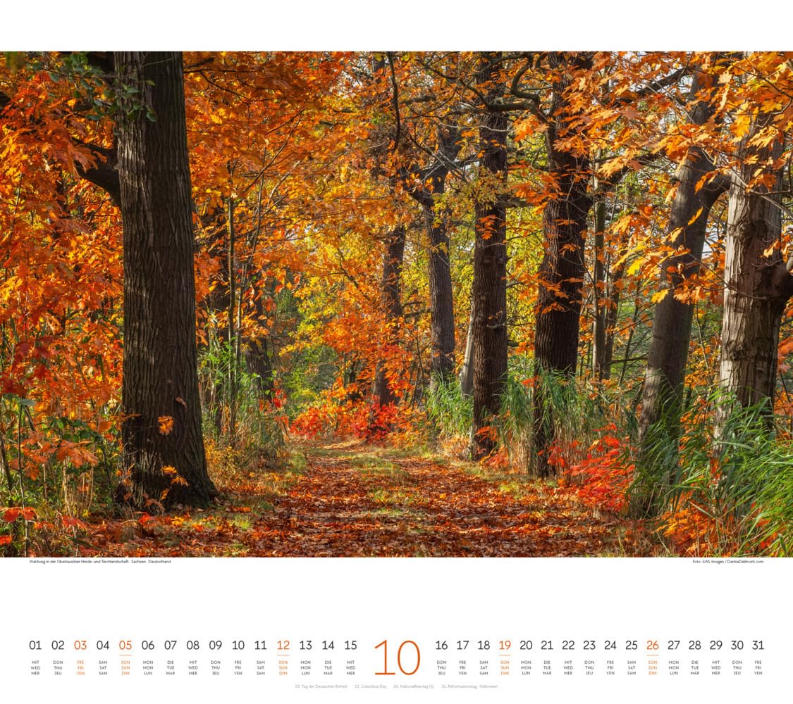Wege Kalender 2025, Wandkalender im Querformat (54x48 cm) - Landschaftskalender mit traumhaften Pfaden in der Natur