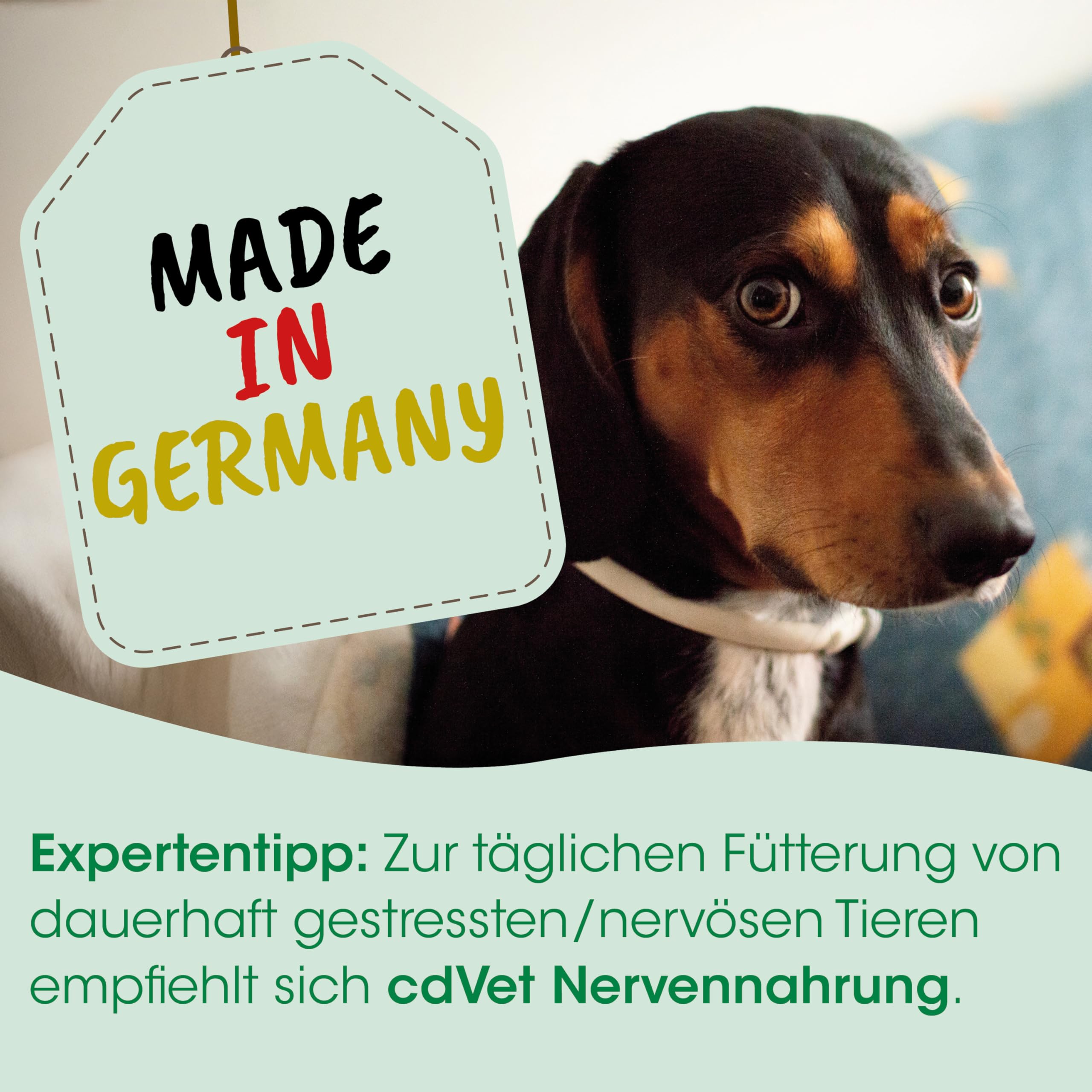 CDVet Calma Lösung für Hunde und Katzen bei Nervosität und vor Stresssituationen., 100 ml Soluzione