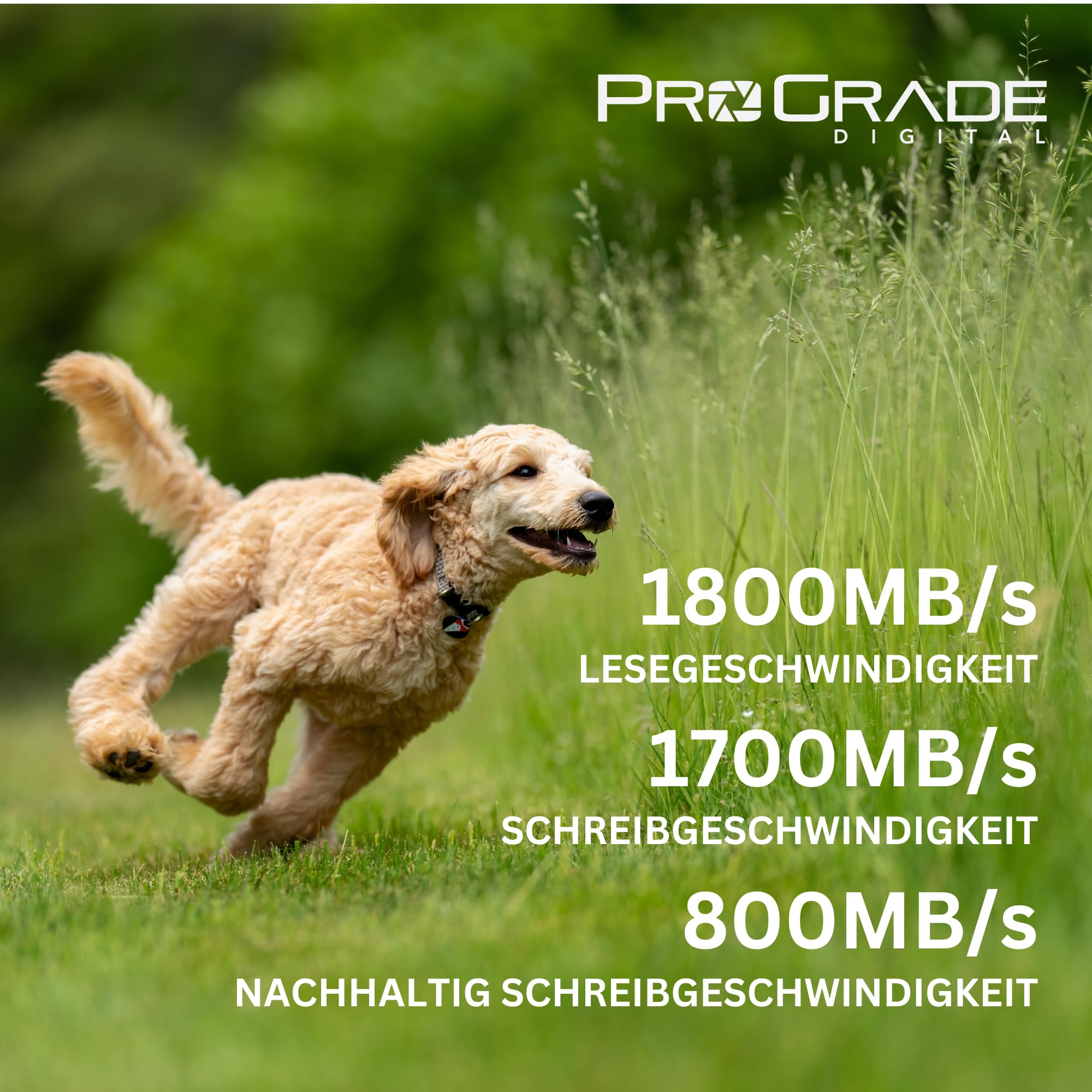 ProGrade Digital CFexpress™ 4.0 Typ A Speicherkarte (480GB) Iridium