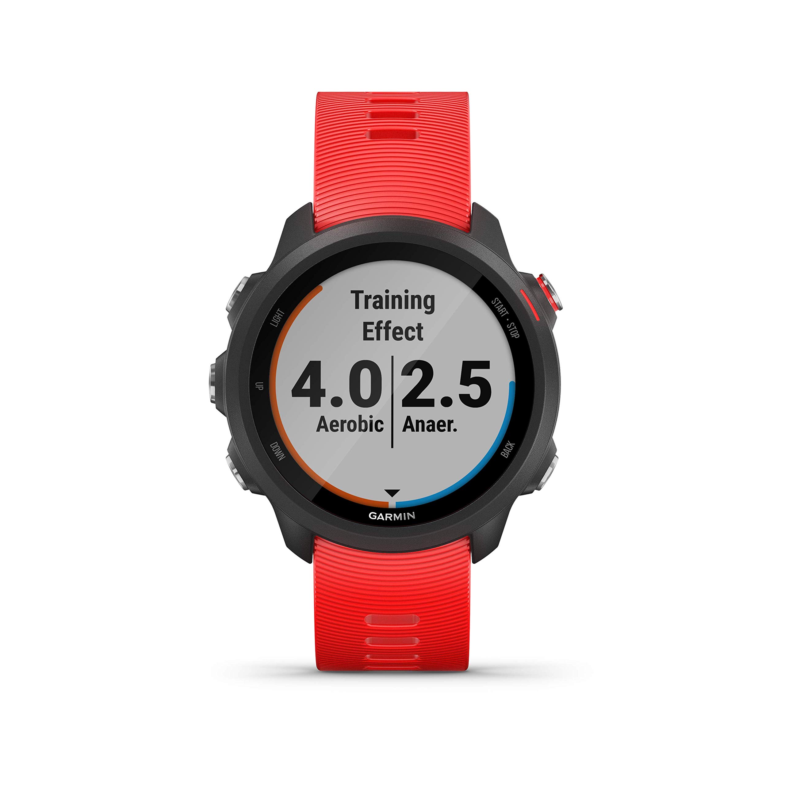 forerunner 245 amazon