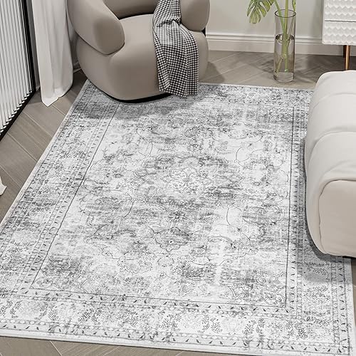 Auruge Area Rug - 3x5 Indoor Vintage Rugs Soft Fuzzy Shaggy Carpet Distressed Gray Accent Rug Non-Slip Non Shedding & Machine Washable Rug for Dining Room Living Room Bedroom Office