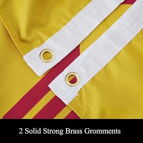 Miniatura 5 de Bandera del estado de Nuevo México, 3 x 5 pies, doble cara, 3 capas, poliéster, NM, banderas de Nuevo México con 2 ojales de latón