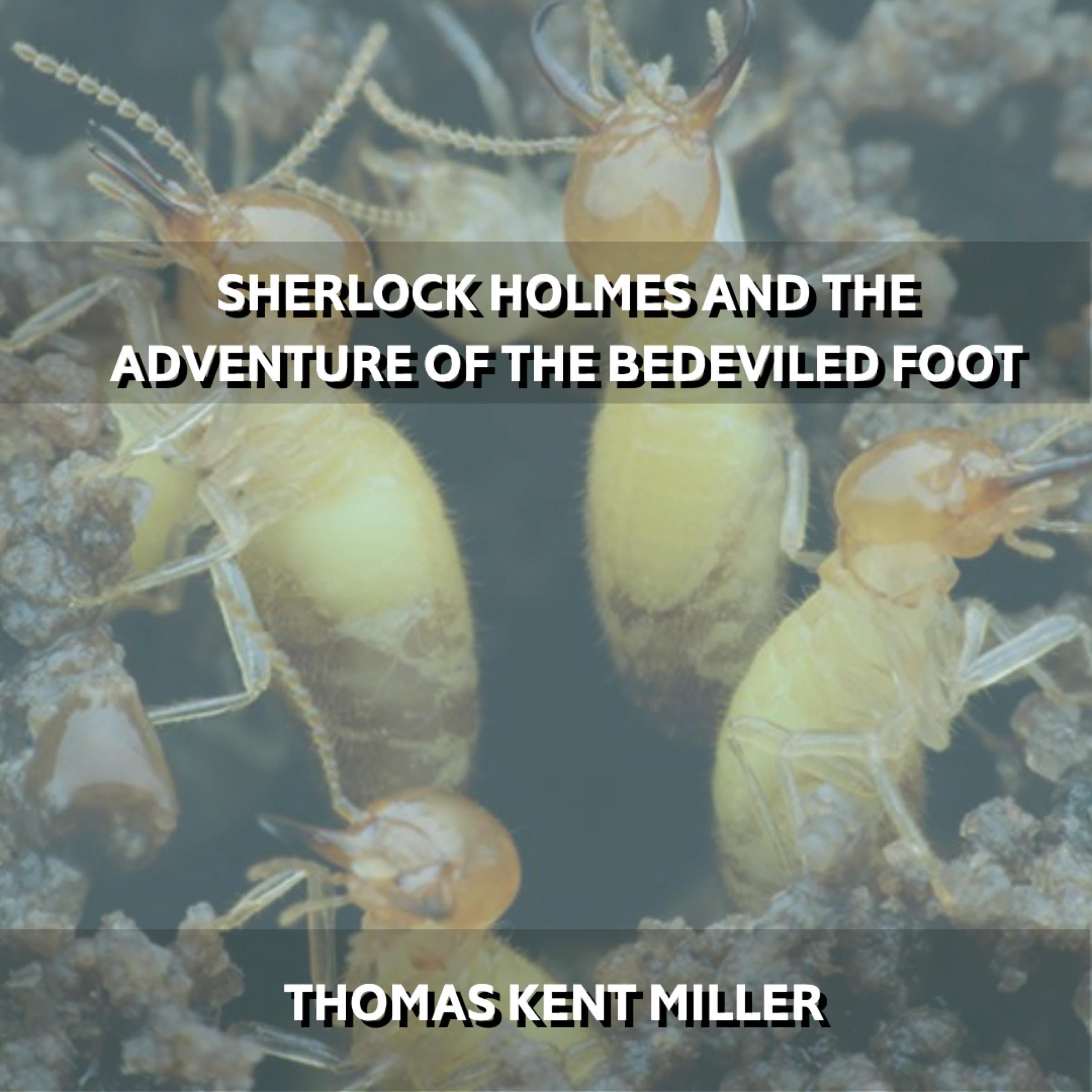 Sherlock Holmes and the Adventure of the Bedeviled Foot