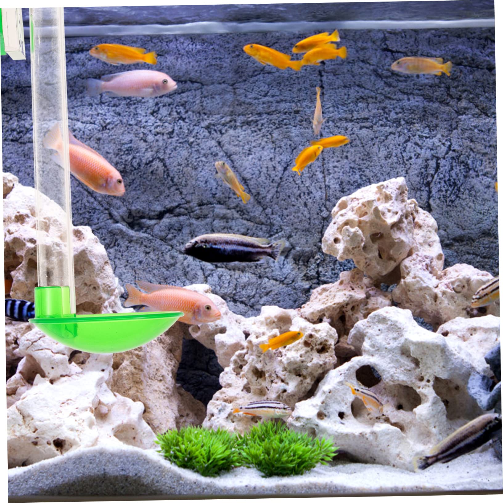 Kisangel 3juegos Alimentador De Camarones y Peces para Acuario Comedero De Pared Diseño De Tubo para Alimentos para Gamba y Peces Tropicales Fácil Instalación y Limpieza De Longitud
