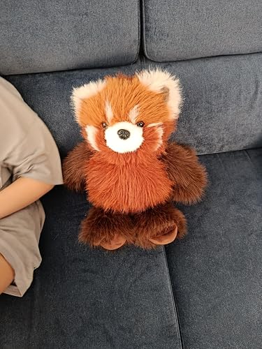 ubuy Mongolia