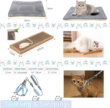 39PCS Kitten Starter Kit, 23PCS Toy Set, Bed, Carrier, Litter Box, Bowls