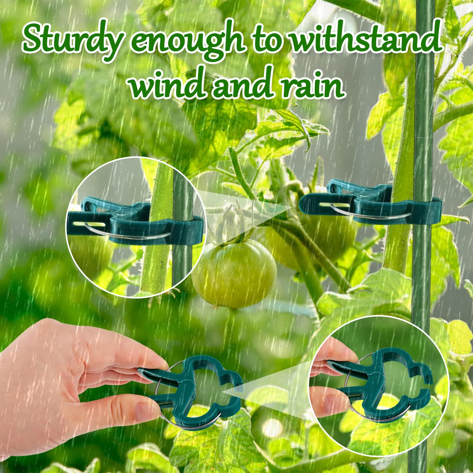 Attache Plante, Pince Attache Tomate, Clip de Support pour Plante, Clips Plantes Grimpantes, Attaches Tomates Clips Réutilisable pour Fixer et Soutenir Plantes, Légumes, Fleurs et Fruits (60PCS)