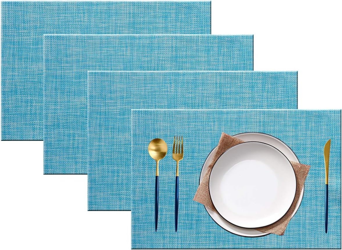 PIGCHCY Placemats Durable Placemats for Dining Table