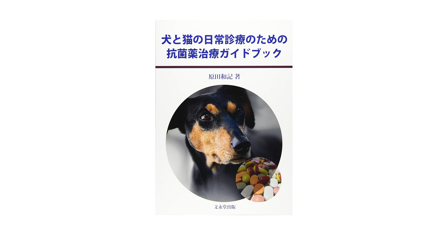 【裁断済み】犬の治療ガイド2020/猫の治療ガイド2020 2冊セット SA Medicine BOOKS 猫の治療ガイド2020 私はこうしている | 辻本