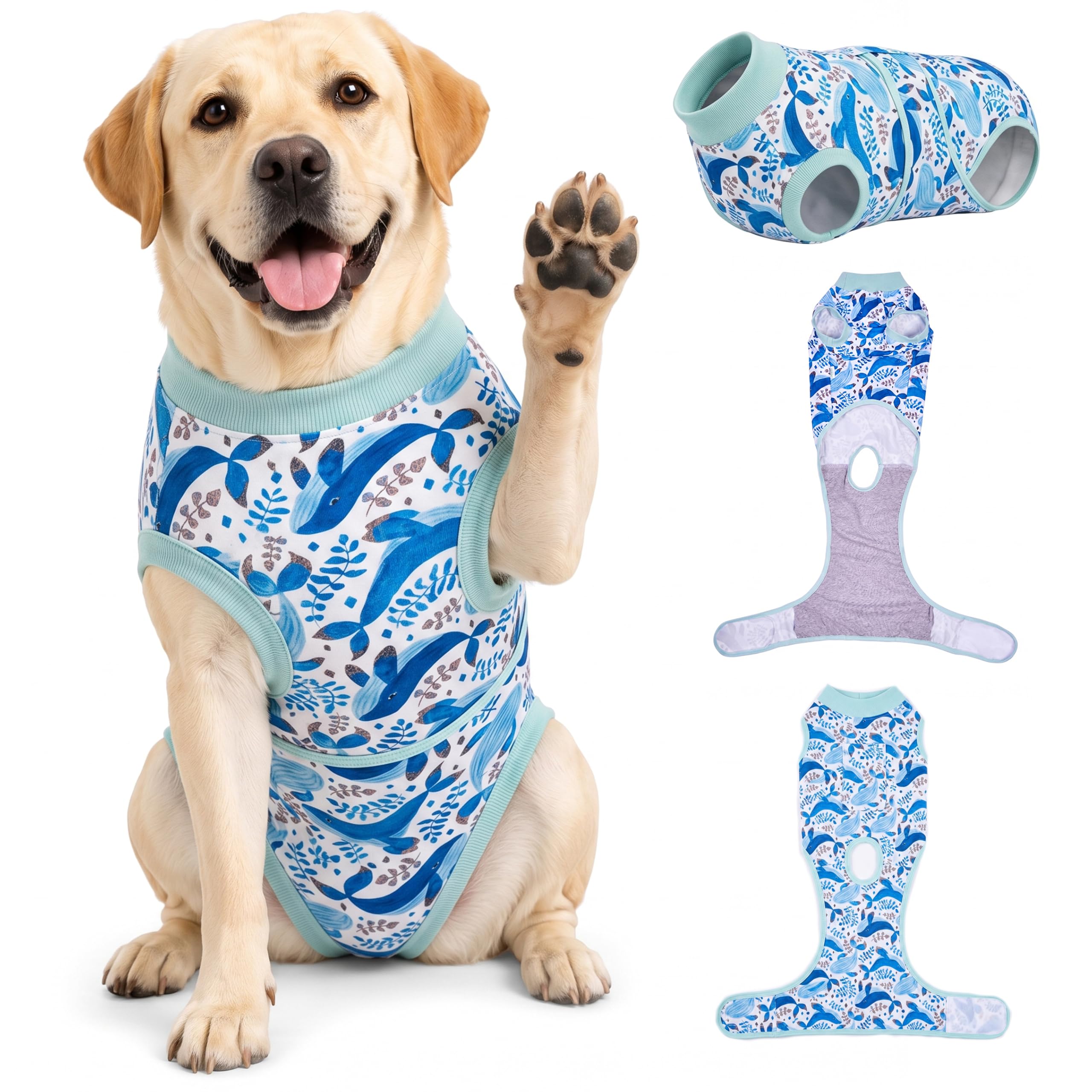 PetWarm Dog Recovery Suit, Cone Alternative, Marine Animal, Blue, 2XL