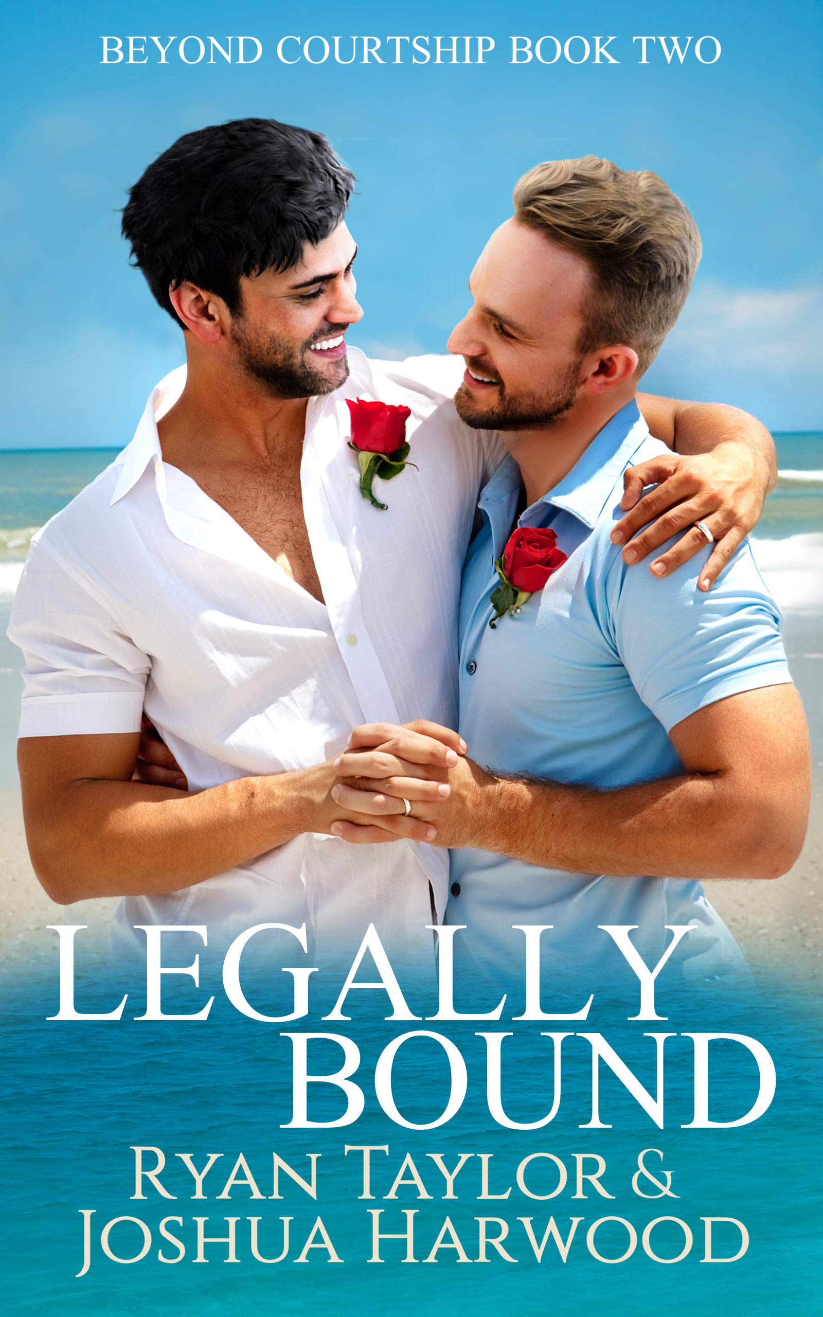 Legally Bound (Beyond Courtship Book 2)