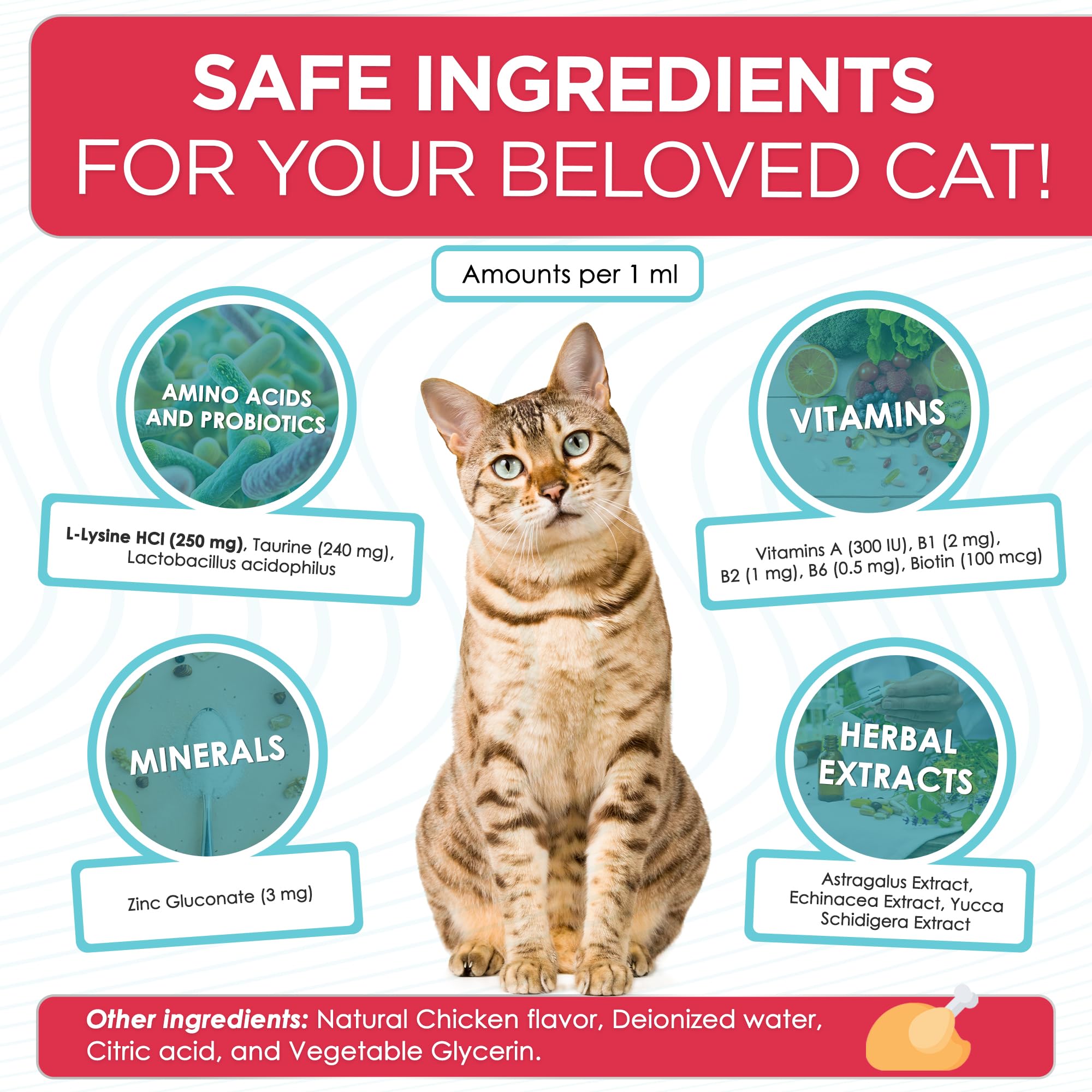 L Lysine for Cats with Taurine & Probiotic – A and B Vitamins Help with Watery Eyes, Sneezing, Cough, Allergies – Feline Upper Respiratory Supplement Works as a Natural Antibiotic for Cats – 2 Oz — Amazon image 3