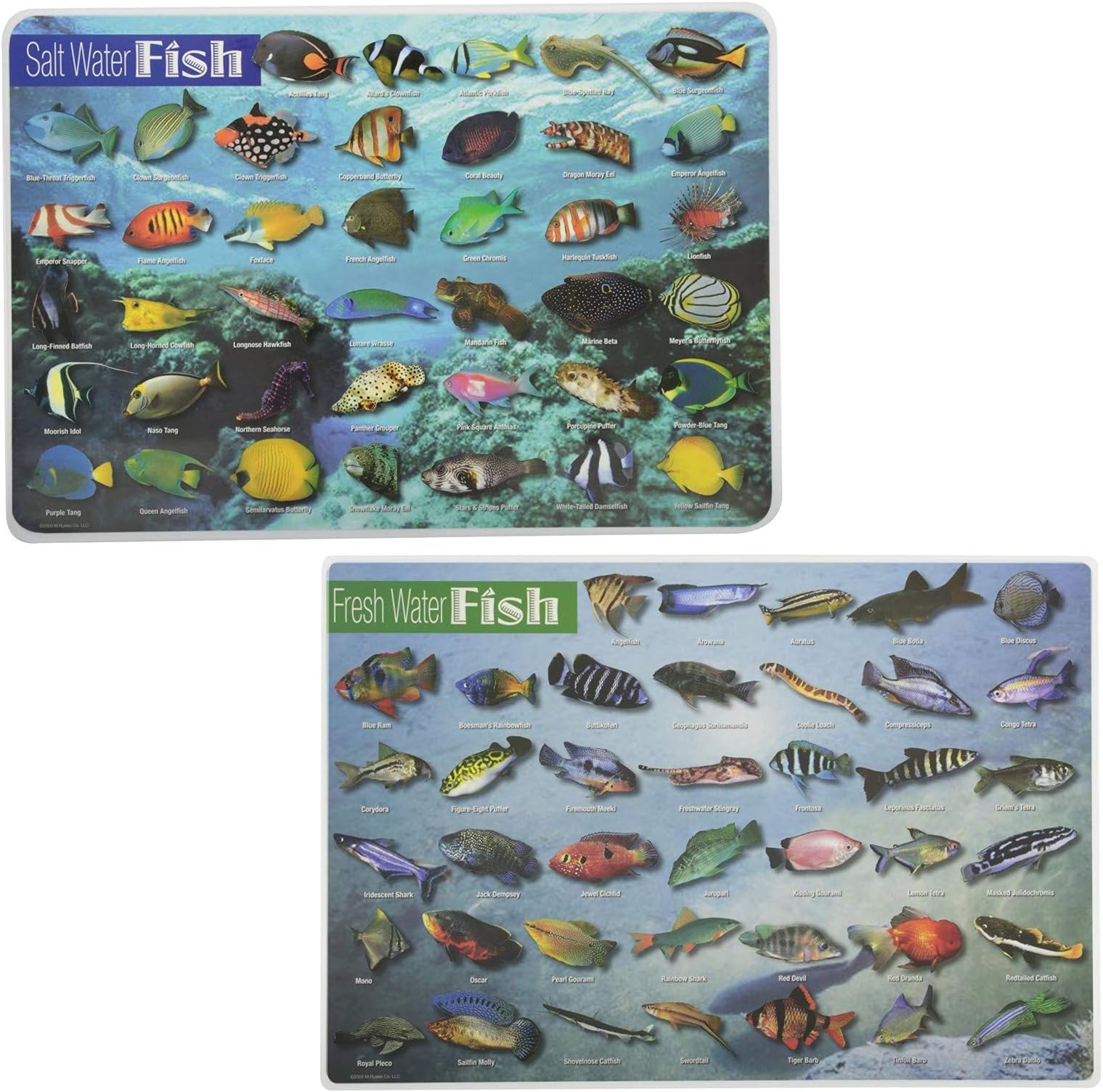 Painless Learning Educational Placemats Sets Fresh Water Fish, Salt Water Fish