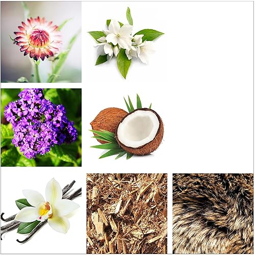 Miniatura 3 de Rachel Zoe Empowered - Mini spray Eau de Parfum de 0.34 oz - Perfume femenino perfectamente equilibrado para mujeres - Despierta los sentidos con un