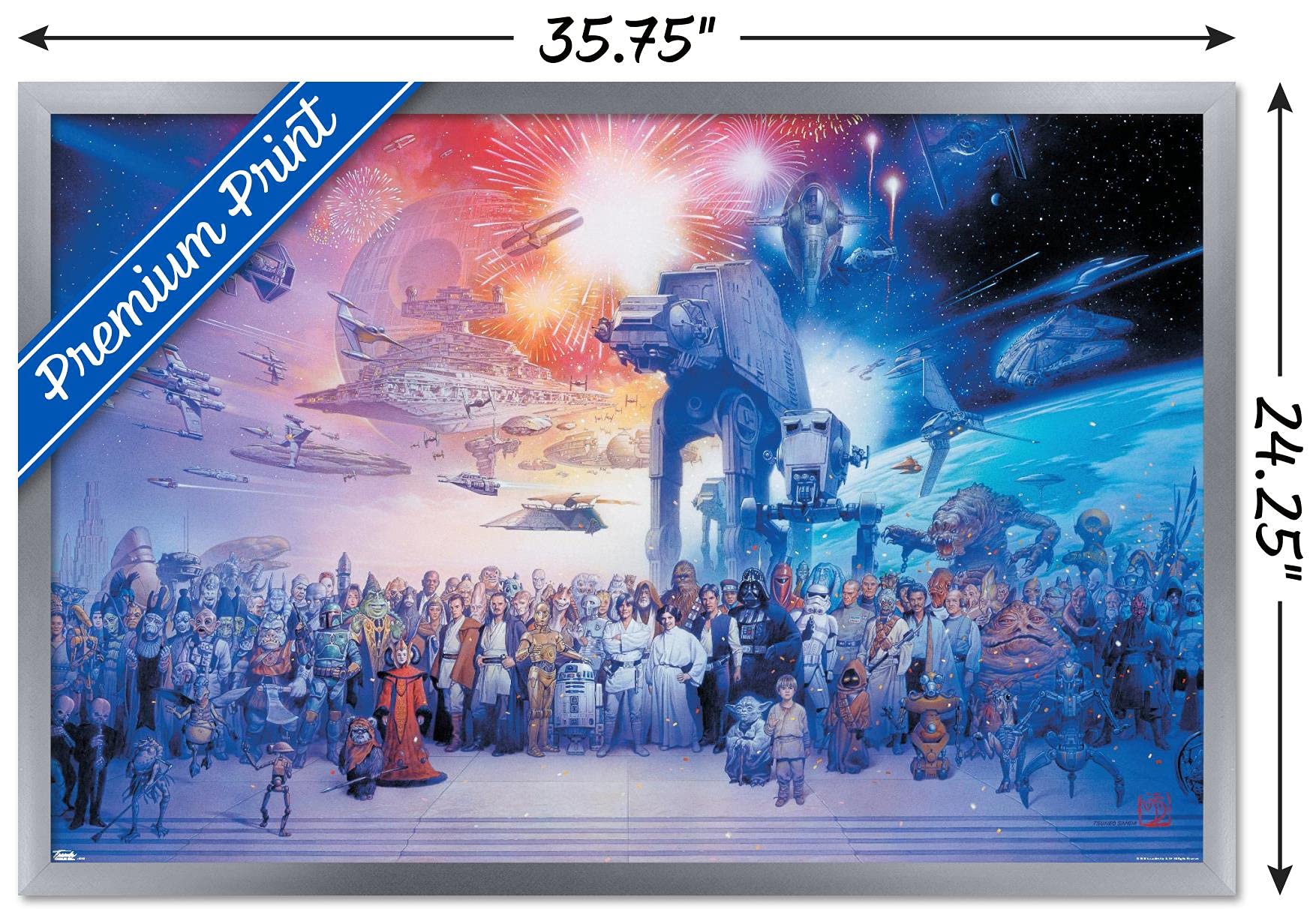 Amazon.com: Star Wars: Saga - Galaxy Wall Poster, 34L