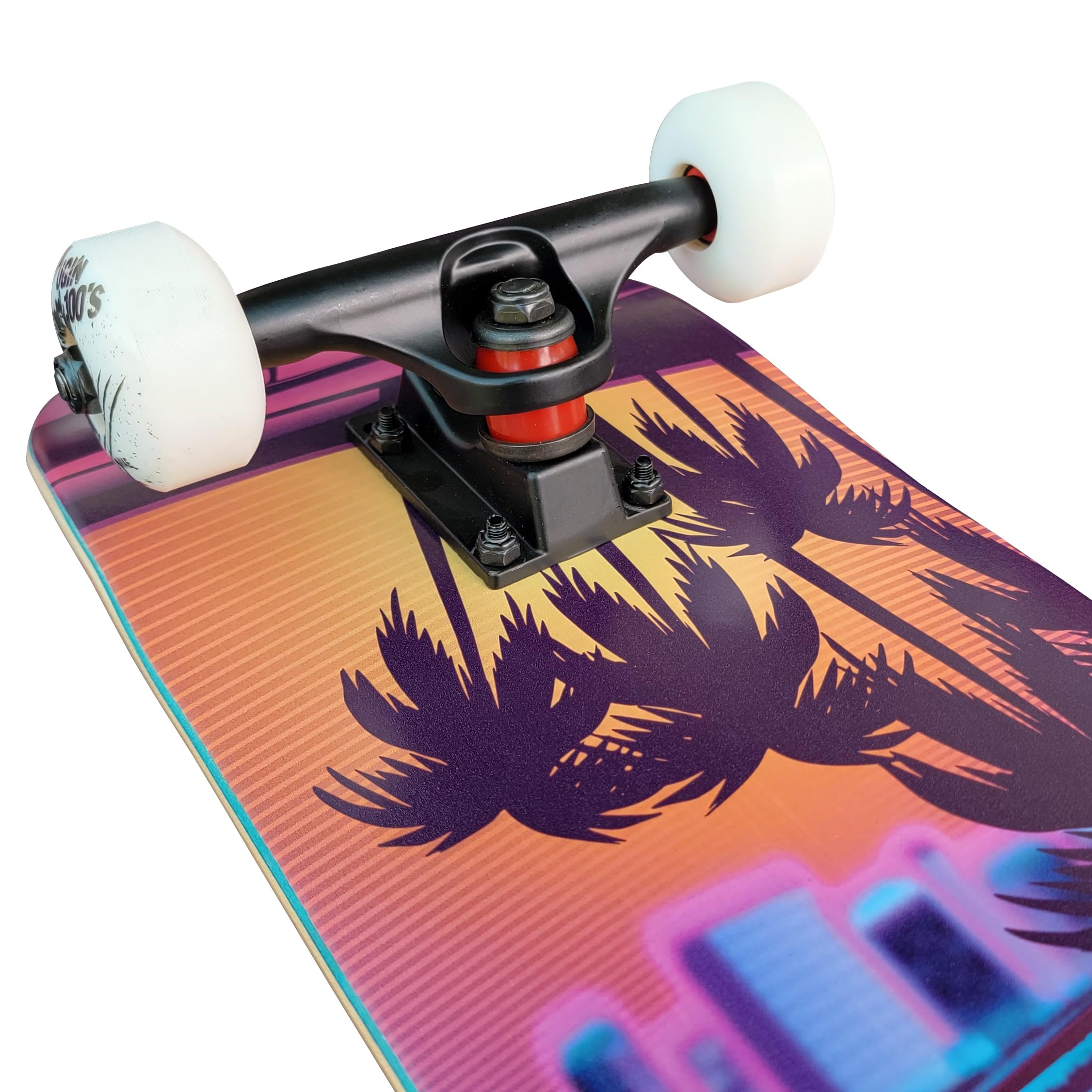 Komplett Skateboard Beach-City - für Kinder und Jugendliche - 7-lagiges Ahornholz Deck - Medium Concave Standard Popsicle Shape - für Anfänger, Profis, Mädchen & Jungs
