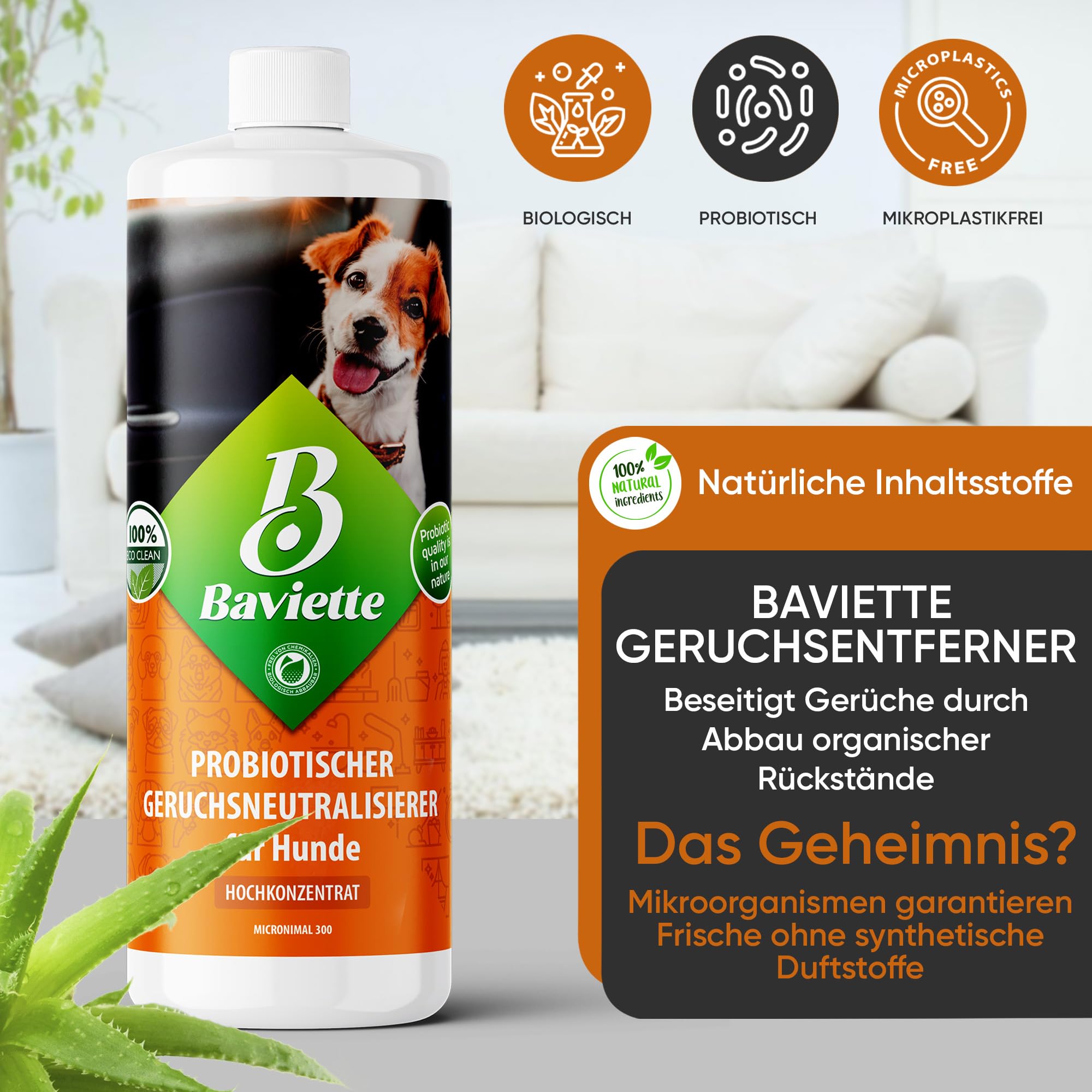 Baviette Concentré 1L – Neutralisateur d’odeurs pour foyers avec Chiens, avec Micro-organismes probiotiques naturels, sans Chlore et Doux pour Les Surfaces, pour Textiles, Meubles, Tapis et Voiture