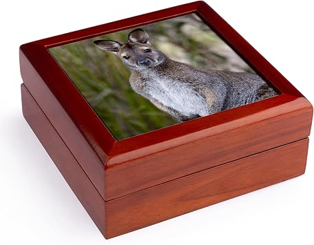 3dRose Red-necked & Bennetts Jewelry Box 7 x 7 inch with 4 inch tile