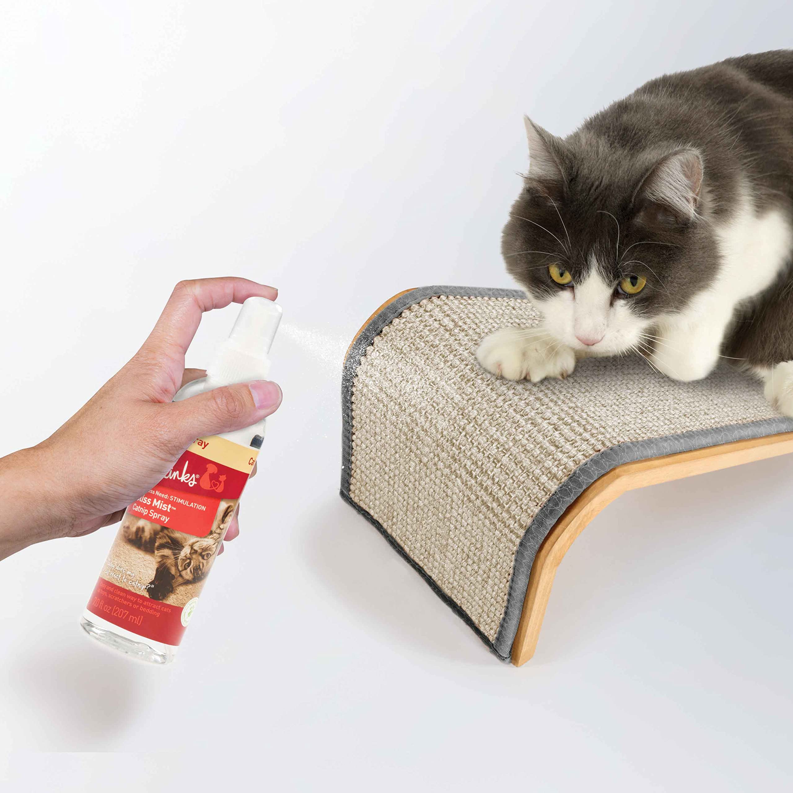 catnip spray for kittens