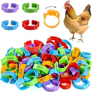 100pcs Chicken Leg Bands, 14-22mm Adjustable Poultry Tags, Durable Multi-Colored Hens Identification Leg Rings,