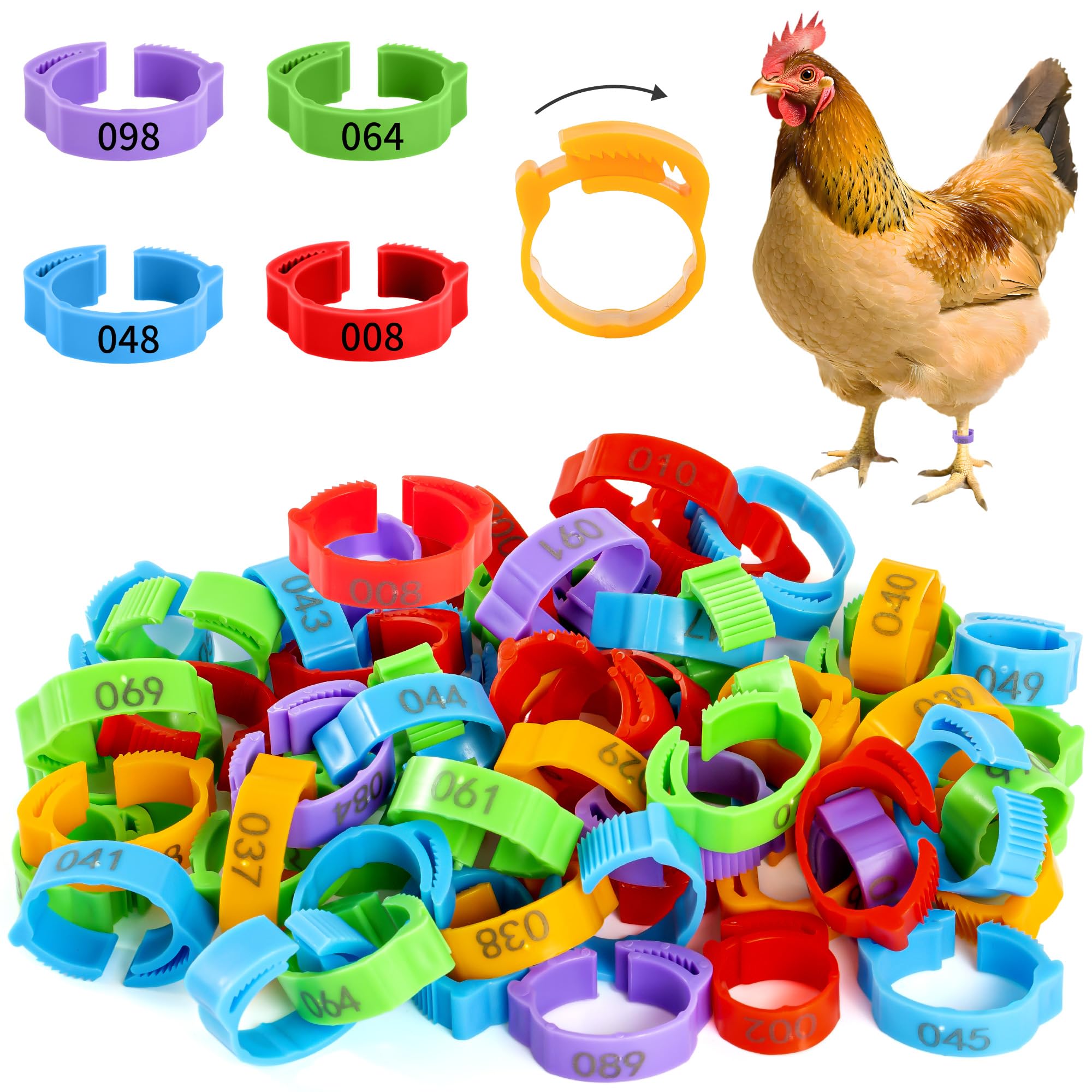 100pcs Chicken Leg Bands, Adjustable Poultry Tags, Durable Multi-Colored Hens Identification Leg Rings, Chicken Coop Accessories for Chickens, Chick, Ducks, Goose, Turkey, Birds-image-42